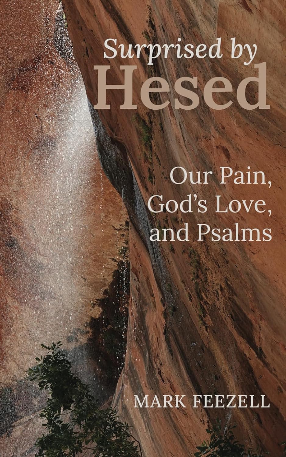 Surprised by Hesed cover